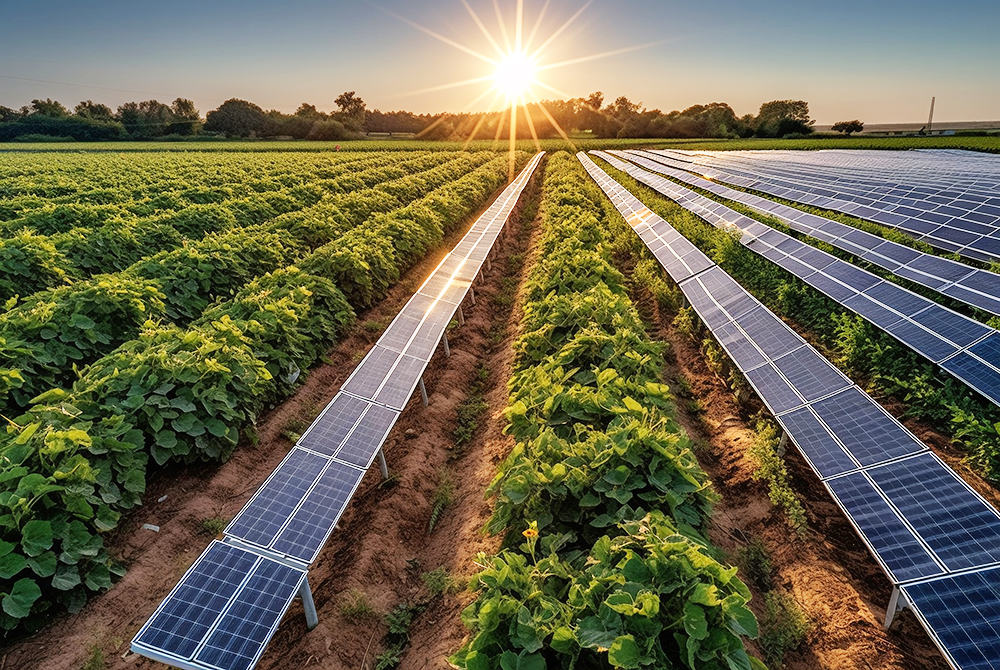 Agro-PV Synergy: The Green Integration of Modern Agriculture and Solar Power