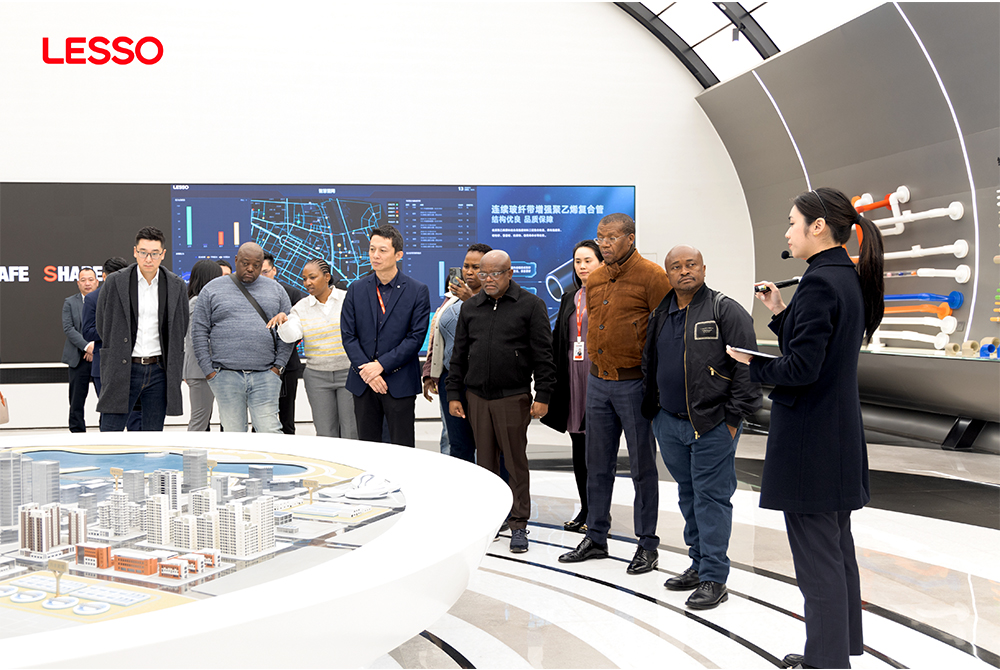 Johannesburg Mayor Visits LESSO Solar to Explore New Energy Cooperation